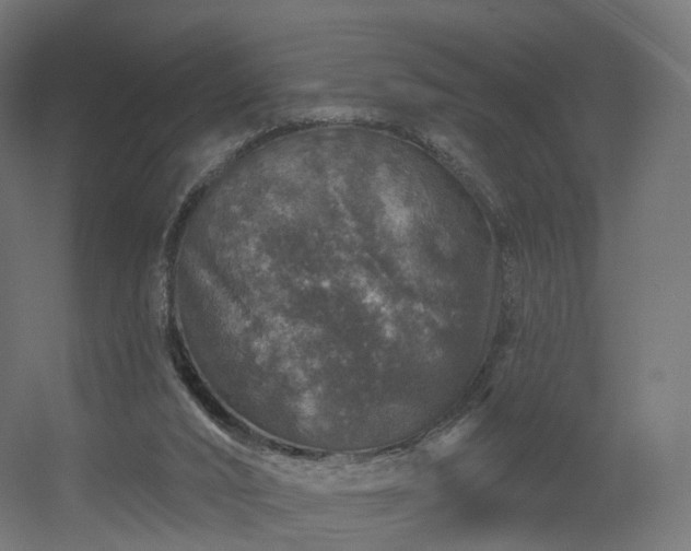 X0000056330016200509021641