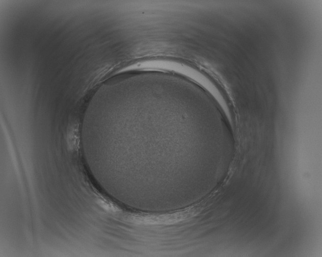 X0000056330017200509021641