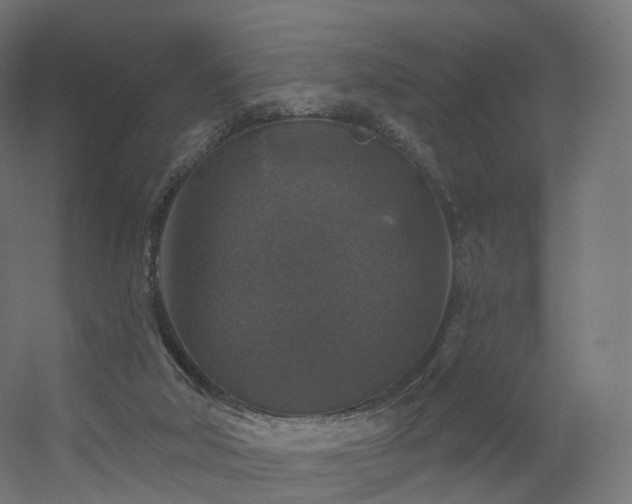 X0000056330018200509021641