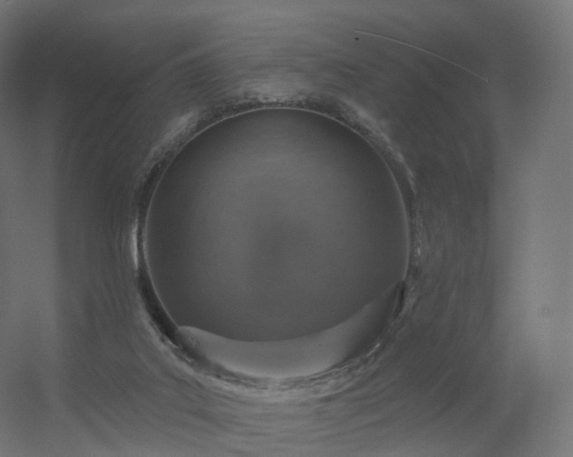 X0000056330019200509021641