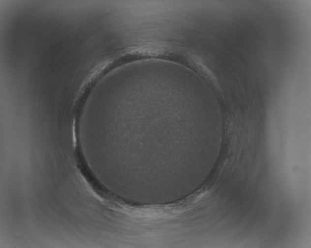 X0000056330020200509021641