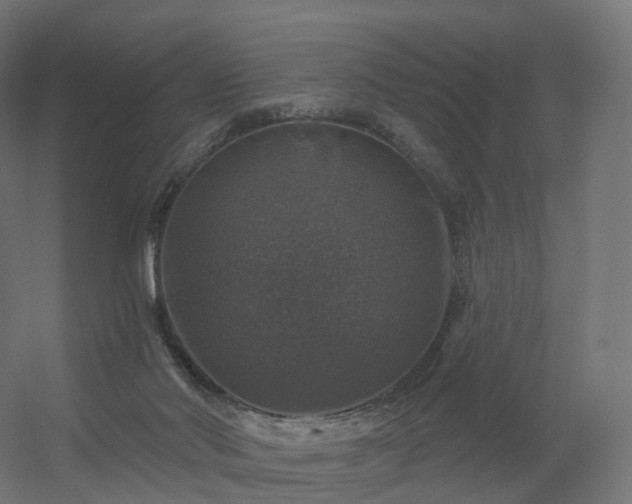 X0000056330022200509021641