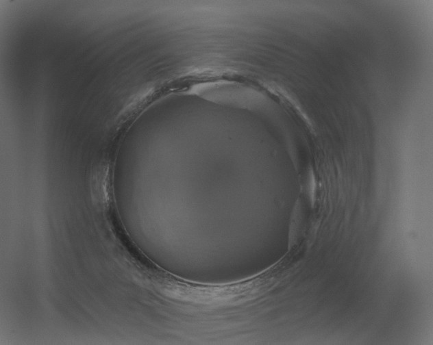 X0000056330023200509021641