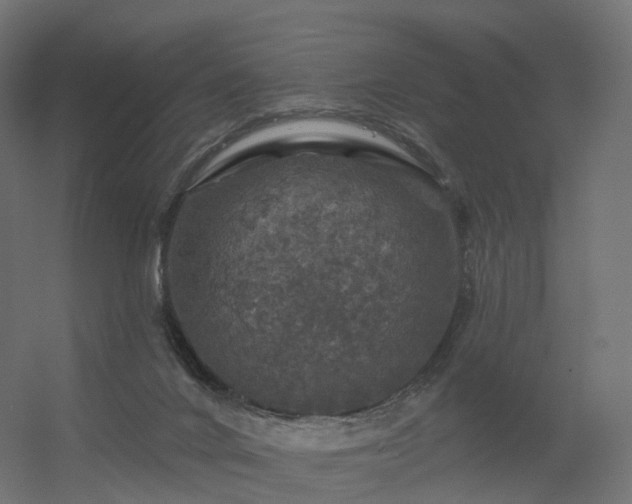 X0000056330024200509021641