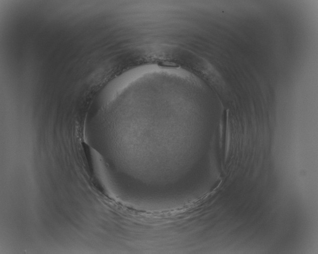 X0000056330029200509021641