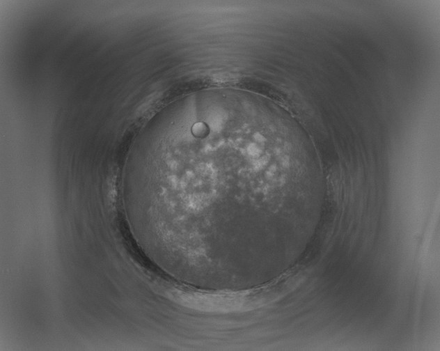 X0000056330032200509021641