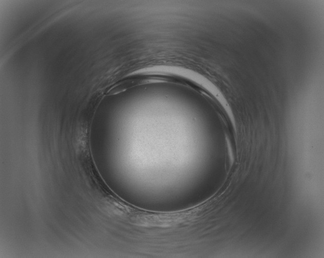 X0000056330033200509021641