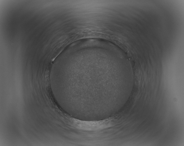 X0000056330034200509021641