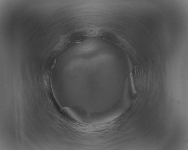 X0000056330035200509021641