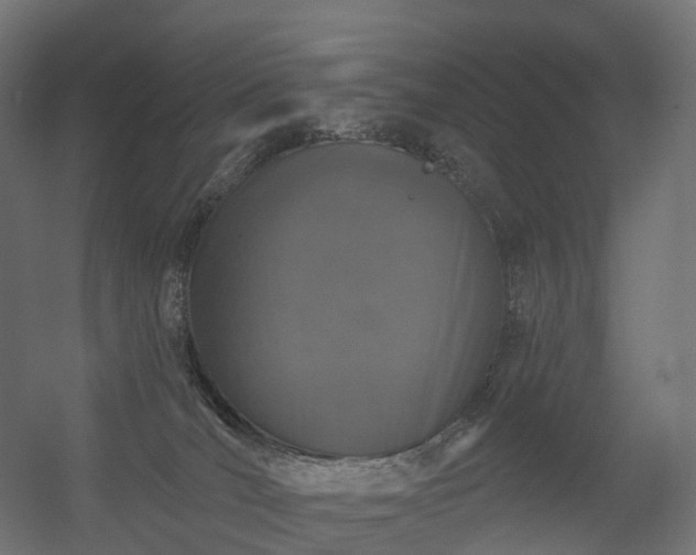 X0000056330036200509021641