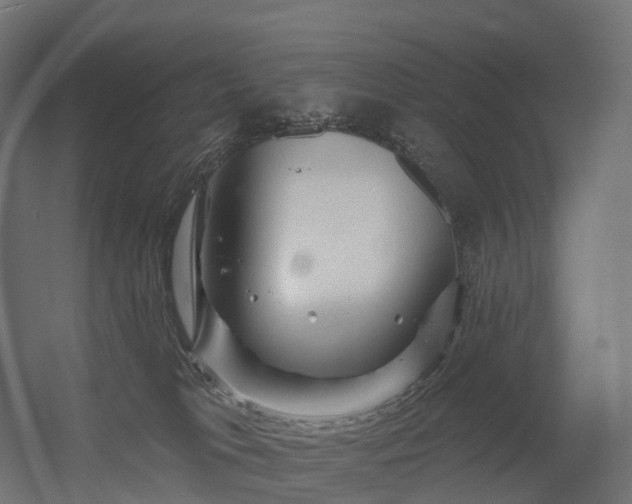 X0000056330037200509021641