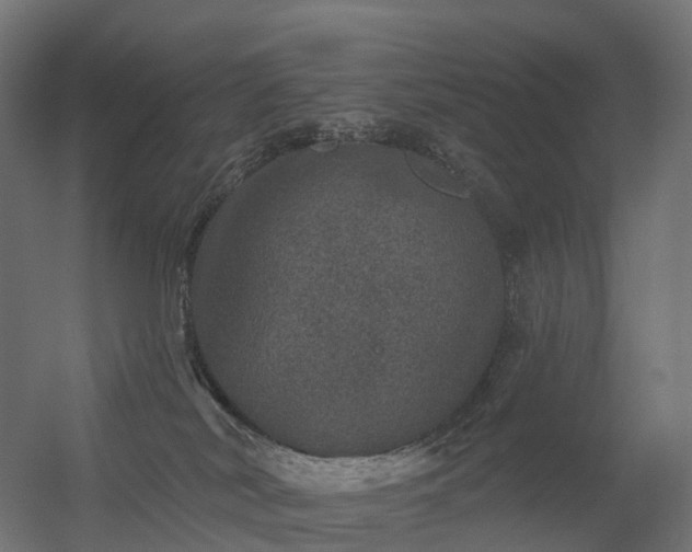 X0000056330038200509021641