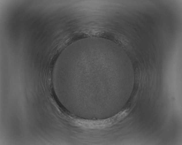 X0000056330040200509021641