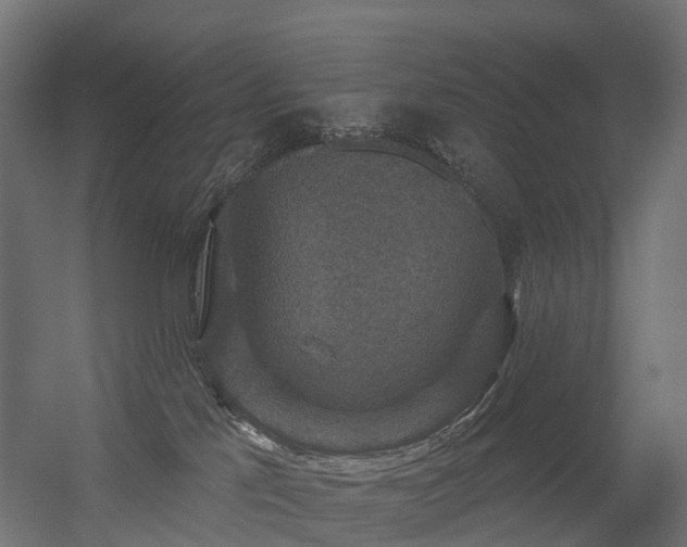 X0000056330041200509021641