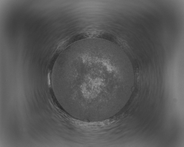 X0000056330042200509021641