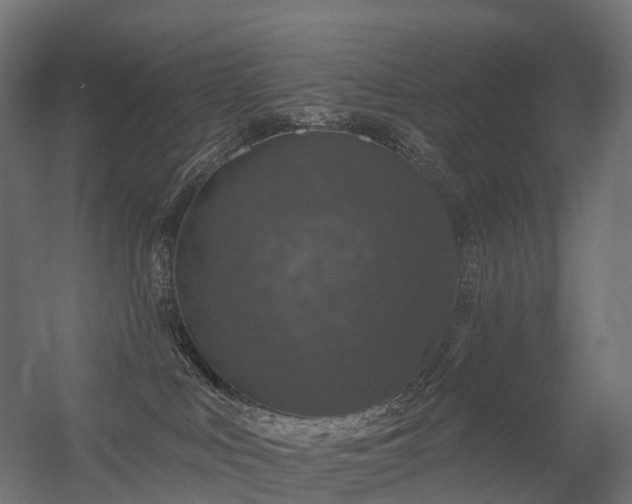 X0000056330043200509021641