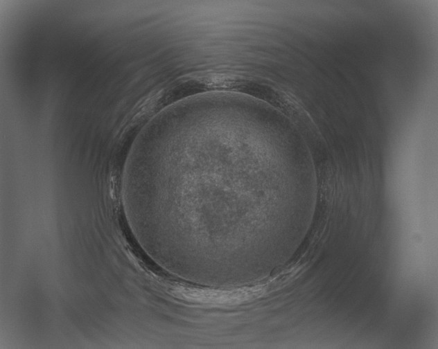 X0000056330044200509021641