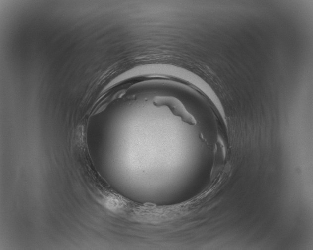 X0000056330045200509021641