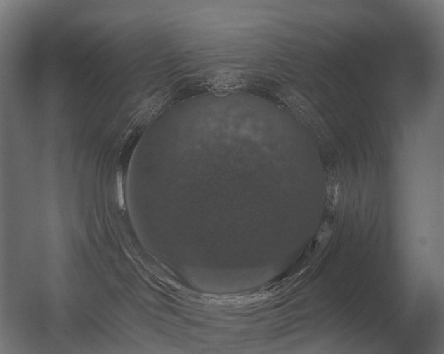 X0000056330046200509021641