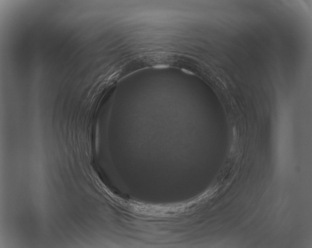 X0000056330048200509021641