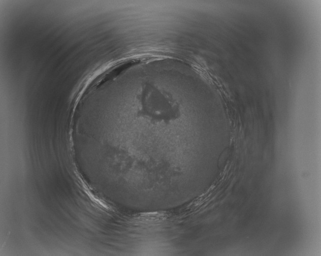 X0000056330050200509021640