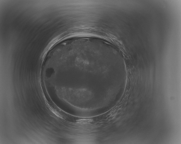 X0000056330051200509021640