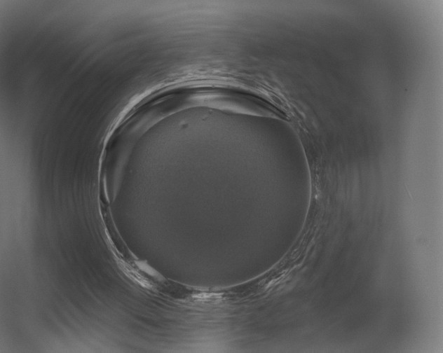 X0000056330052200509021640