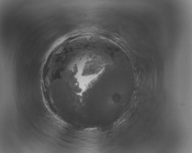 X0000056330054200509021640