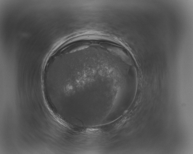 X0000056330055200509021640