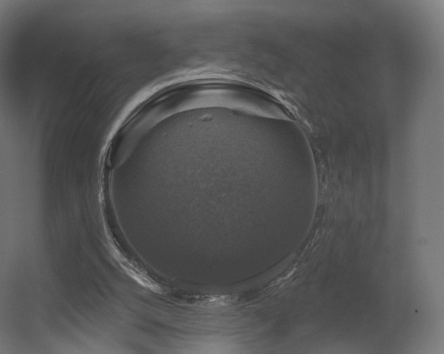 X0000056330056200509021640