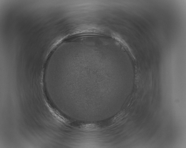 X0000056330058200509021640