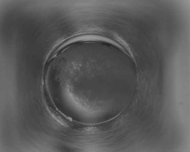 X0000056330059200509021640