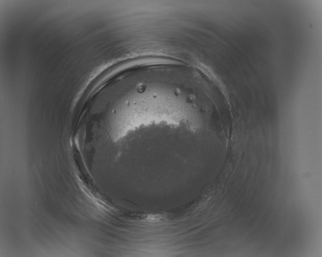 X0000056330060200509021640