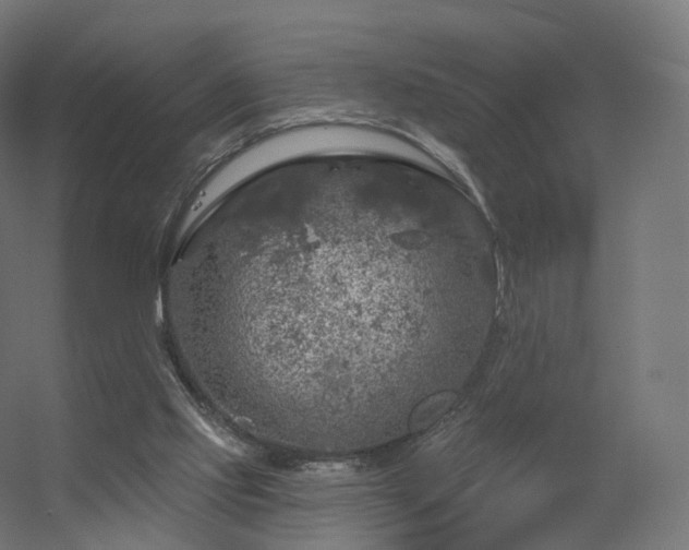 X0000056330061200509021640