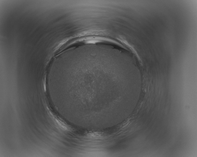 X0000056330062200509021640