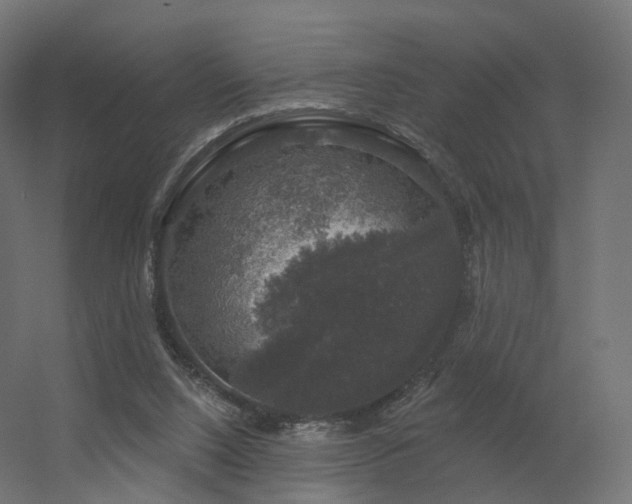 X0000056330064200509021640