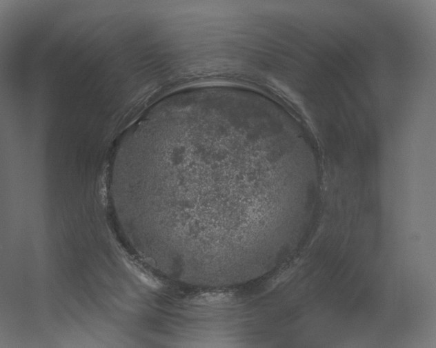 X0000056330065200509021640