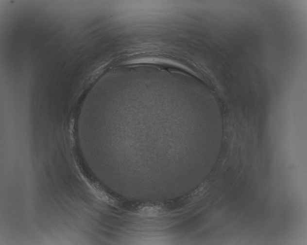 X0000056330066200509021640