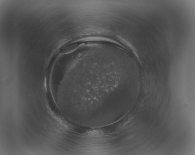 X0000056330067200509021640