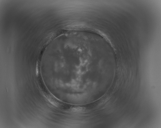 X0000056330069200509021640