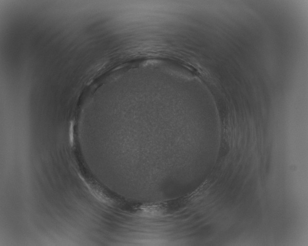 X0000056330070200509021640