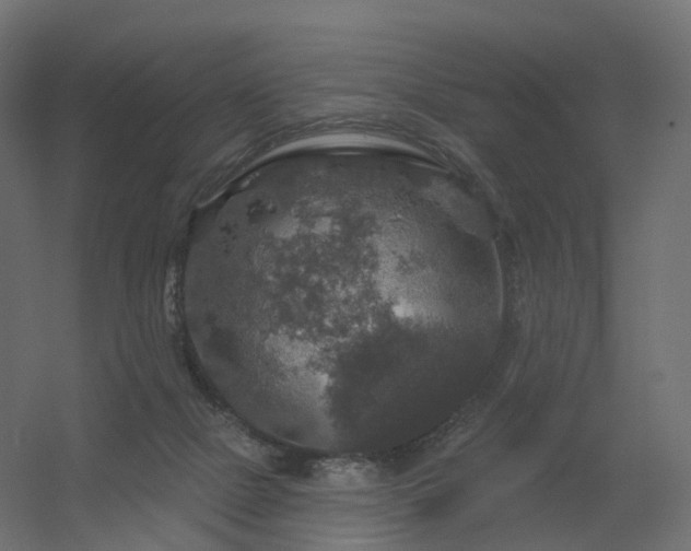 X0000056330073200509021640