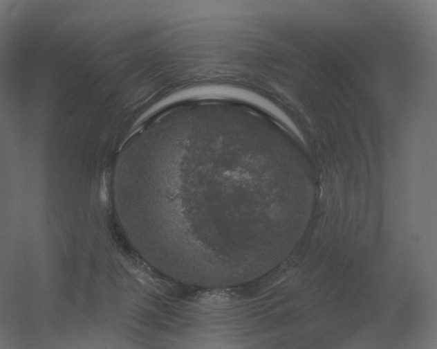 X0000056330075200509021640