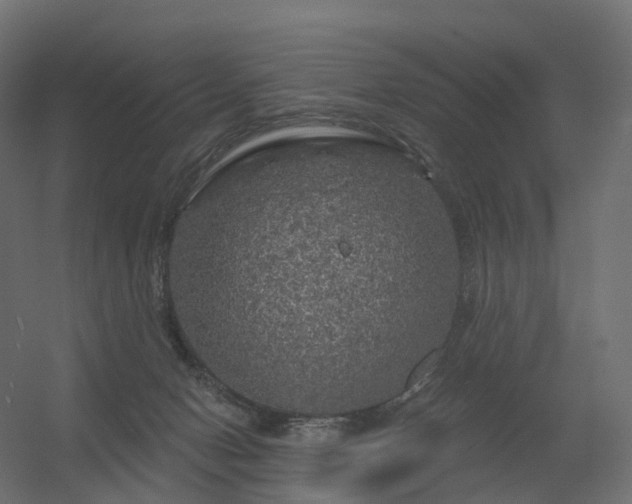 X0000056330078200509021640