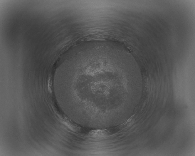 X0000056330082200509021640