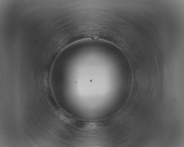 X0000056330083200509021640