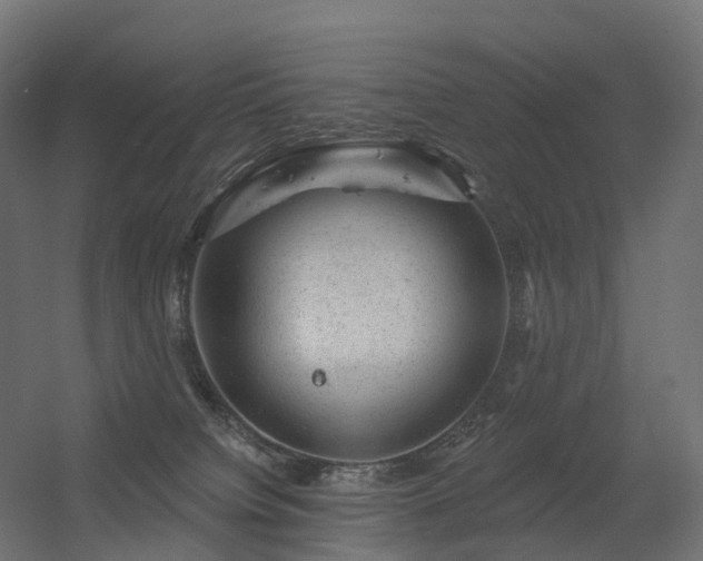 X0000056330084200509021640