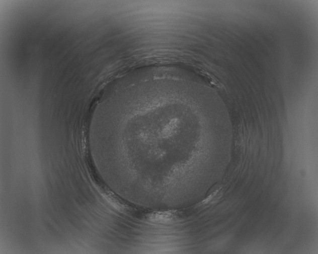 X0000056330086200509021640