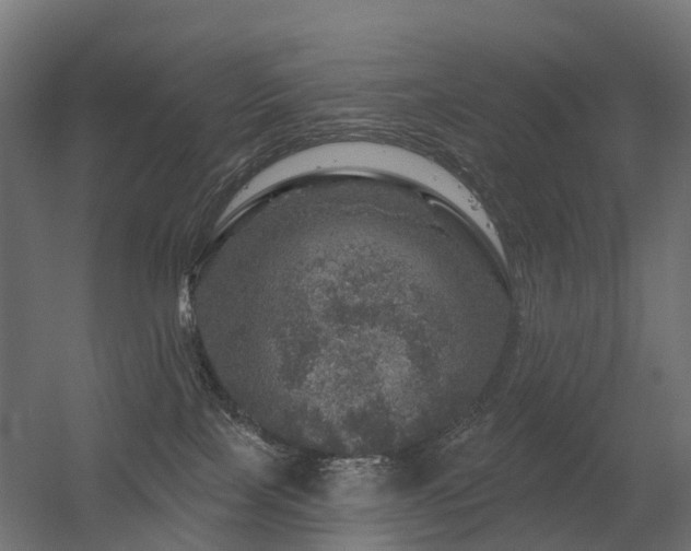 X0000056330089200509021641