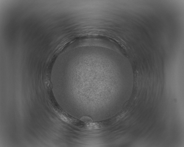 X0000056330091200509021641